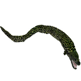 Emilio Eel