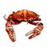 Crabby Crab Plush Toy