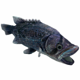 Drake Dhufish Plush Toy
