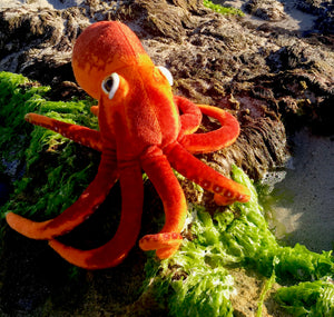 Orange Octopus Toy
