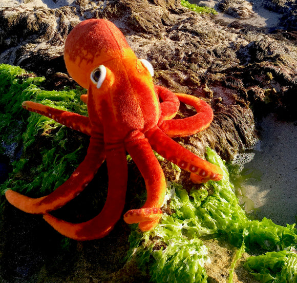 Orange Octopus Toy